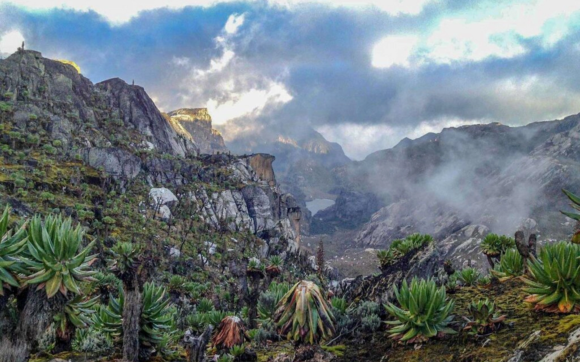 Rwenzori Trek — photo 1