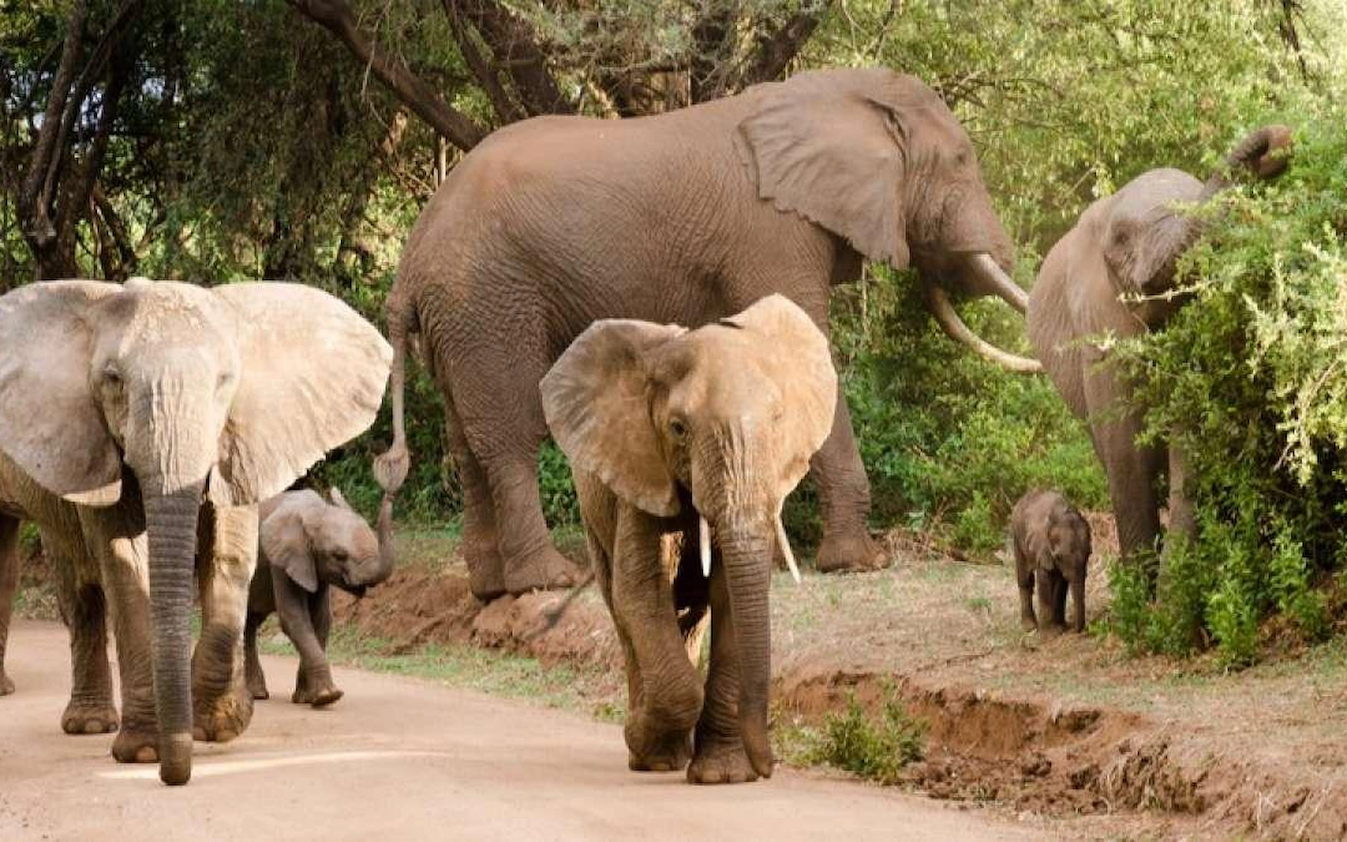 Lake Manyara National Park — photo 1
