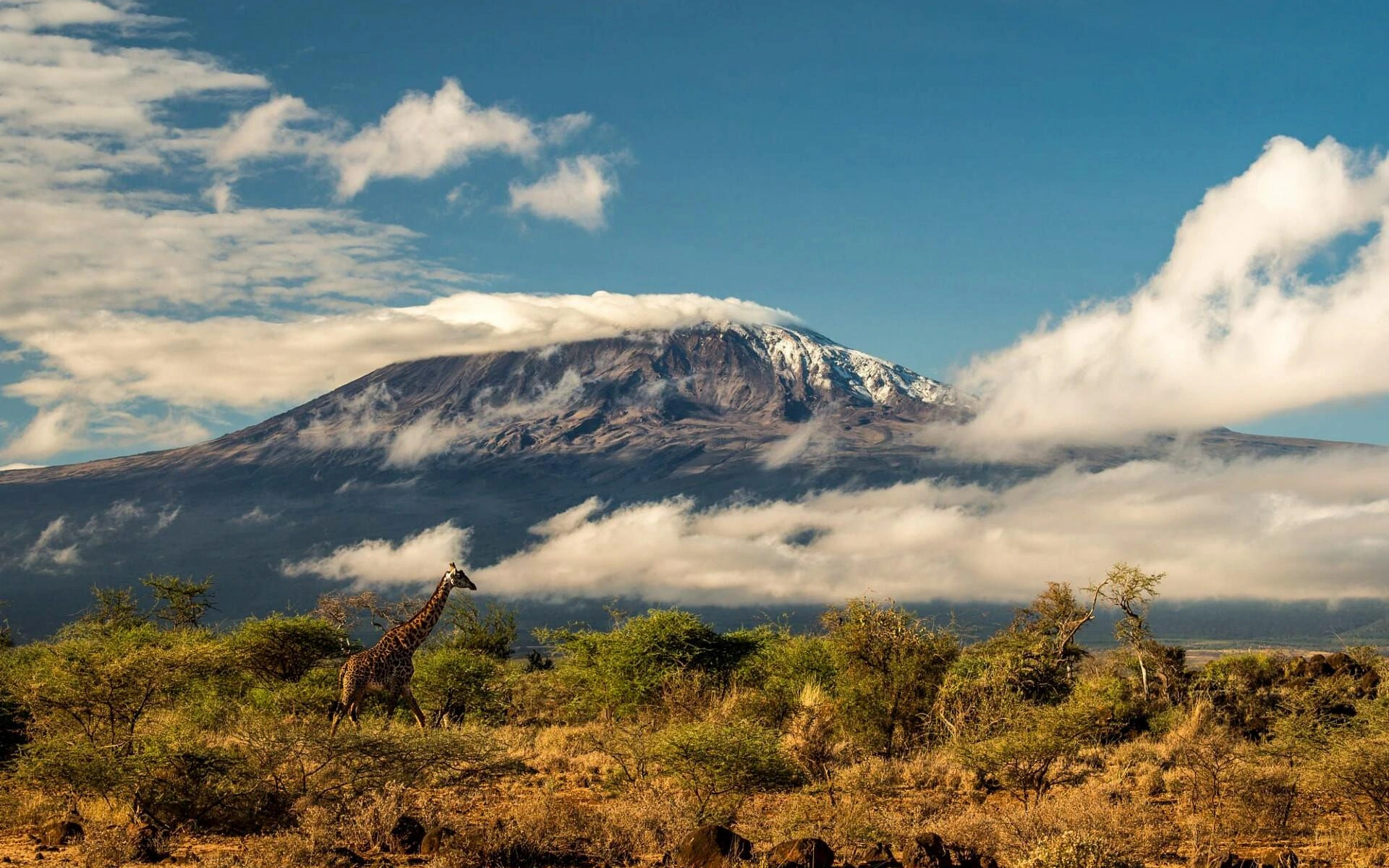 Things to Do in Kilimanjaro, Tanzania: 8 Experiences Beyond the Summit (2026)