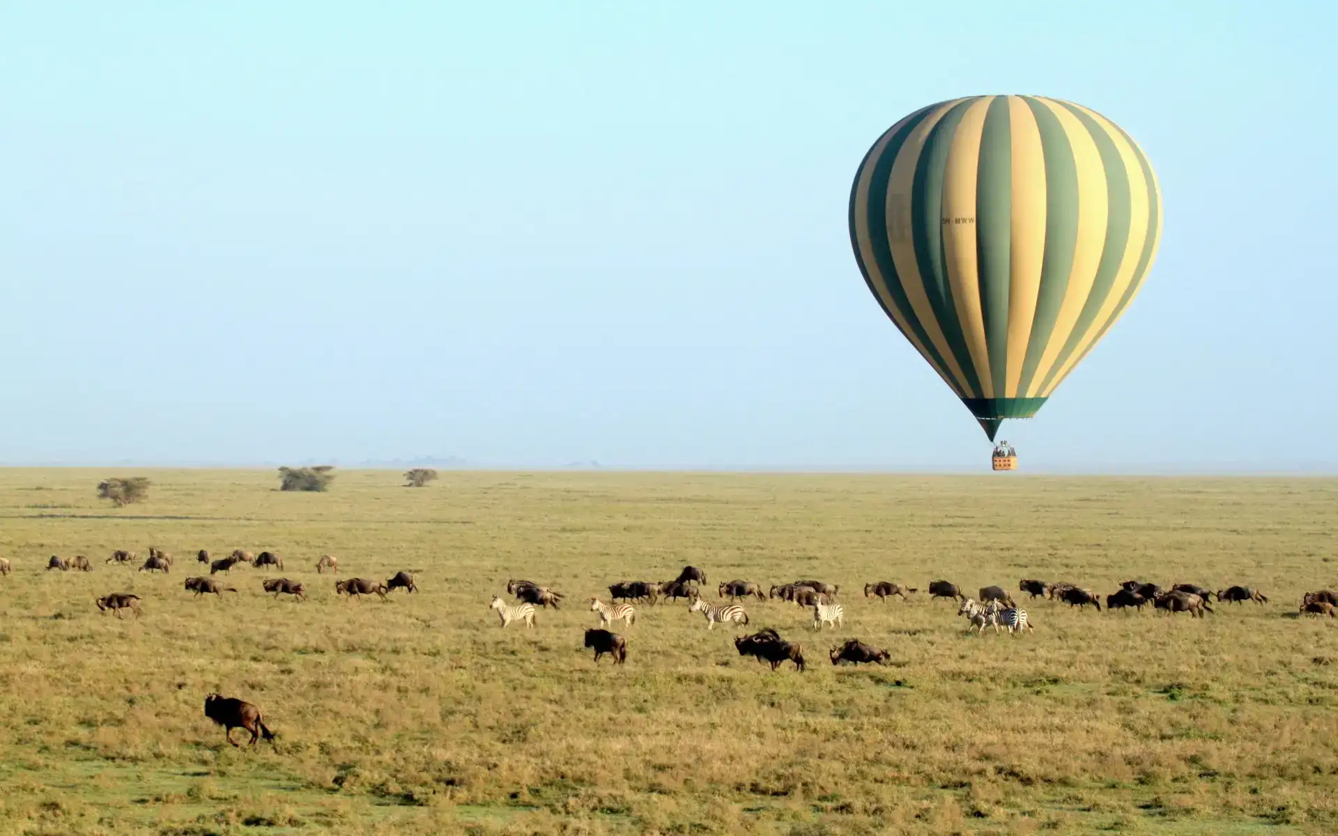 5days tour exploration of Tanzania wildlife encounters