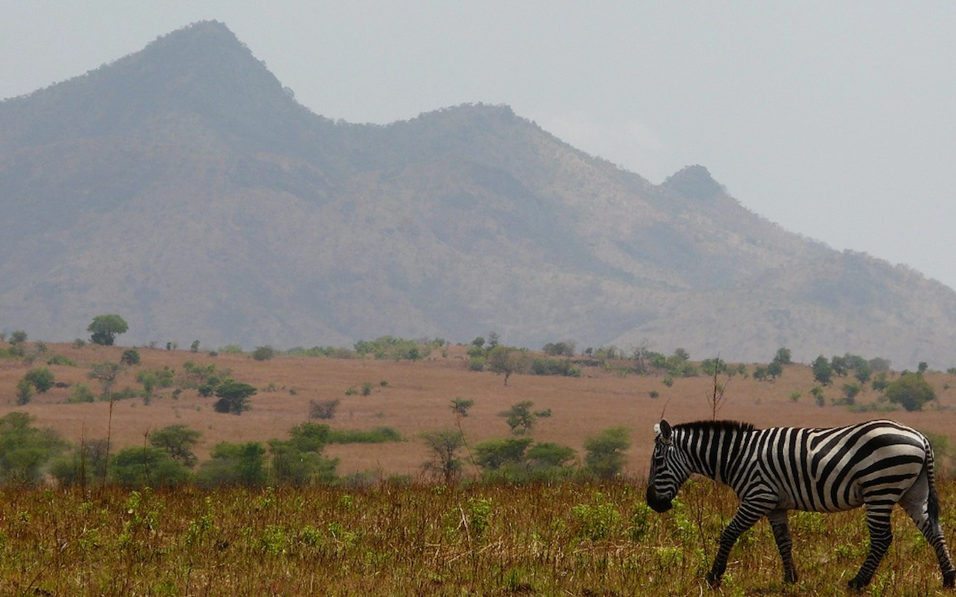  Kidepo Valley National Park