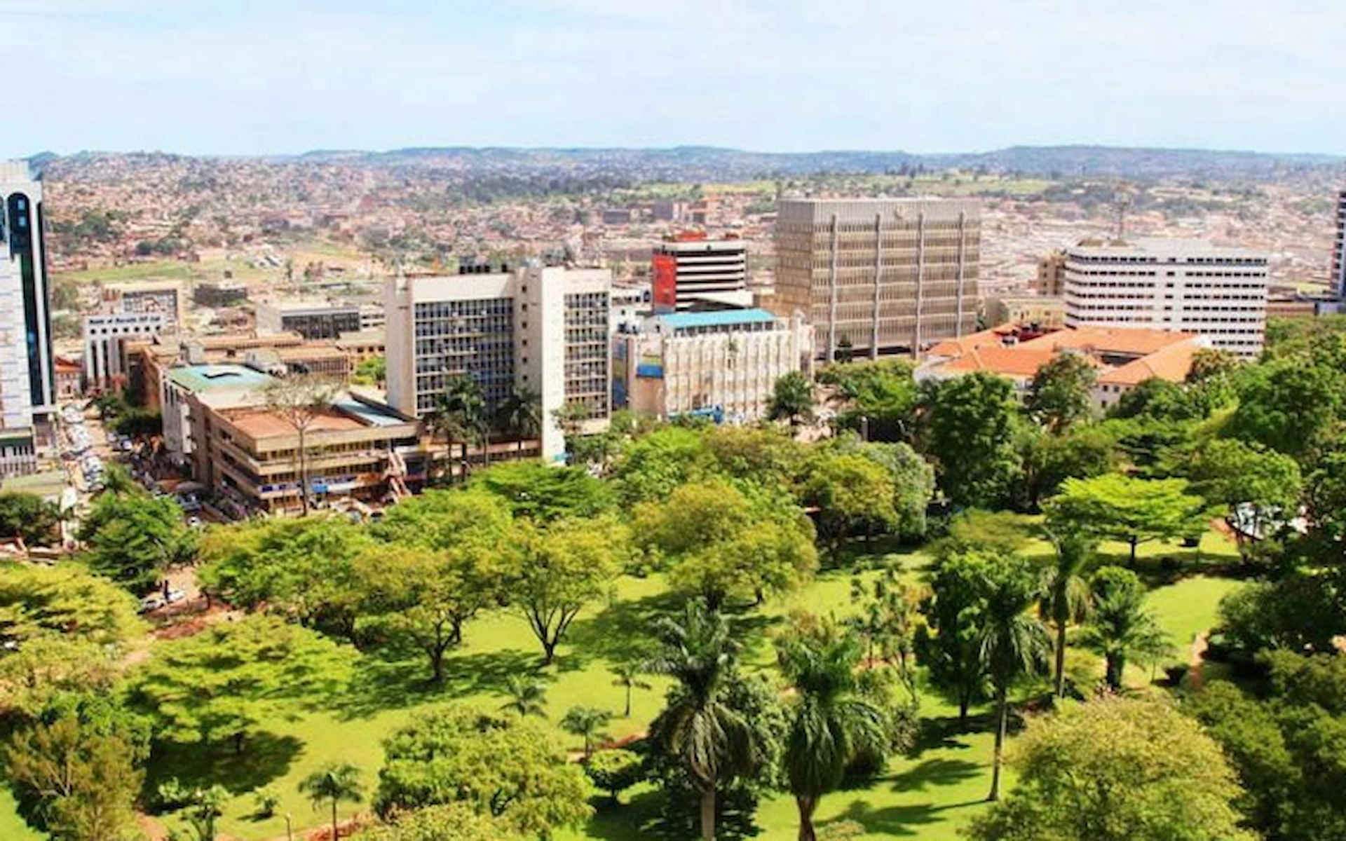 Bwindi and Transfer back to Entebbe