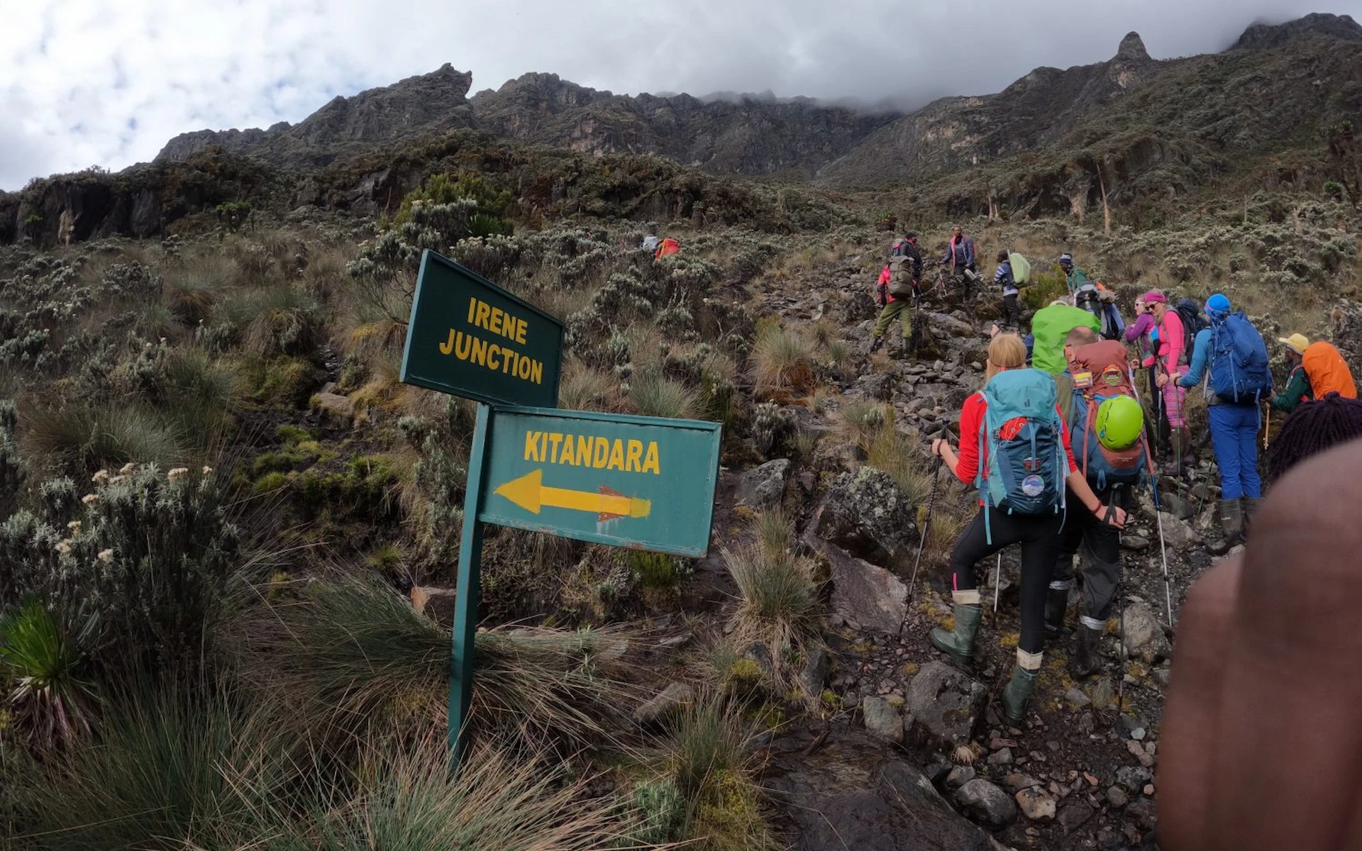 NYABITABA – JOHN MATTE CAMP (3505m asl.)