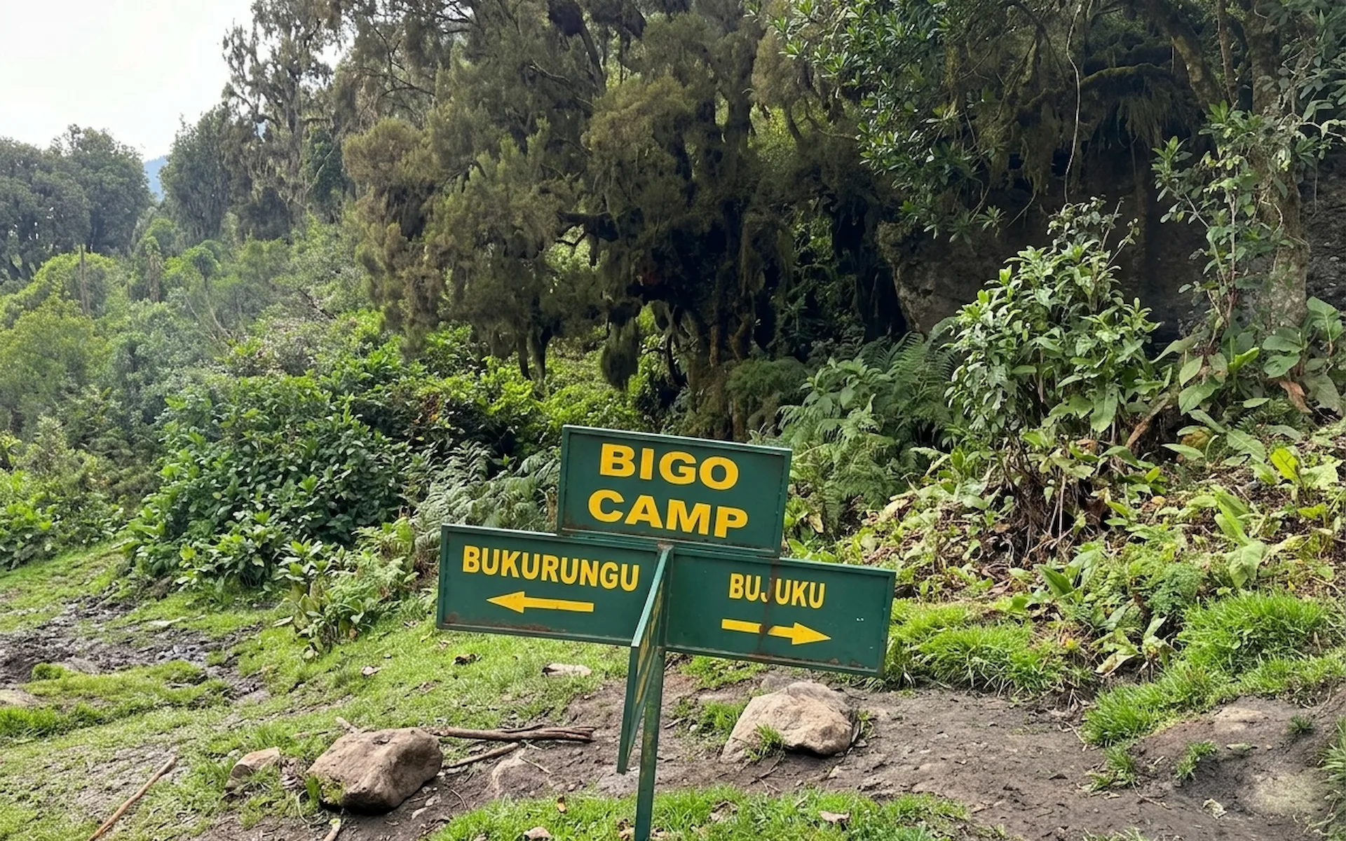 Bigo Camp