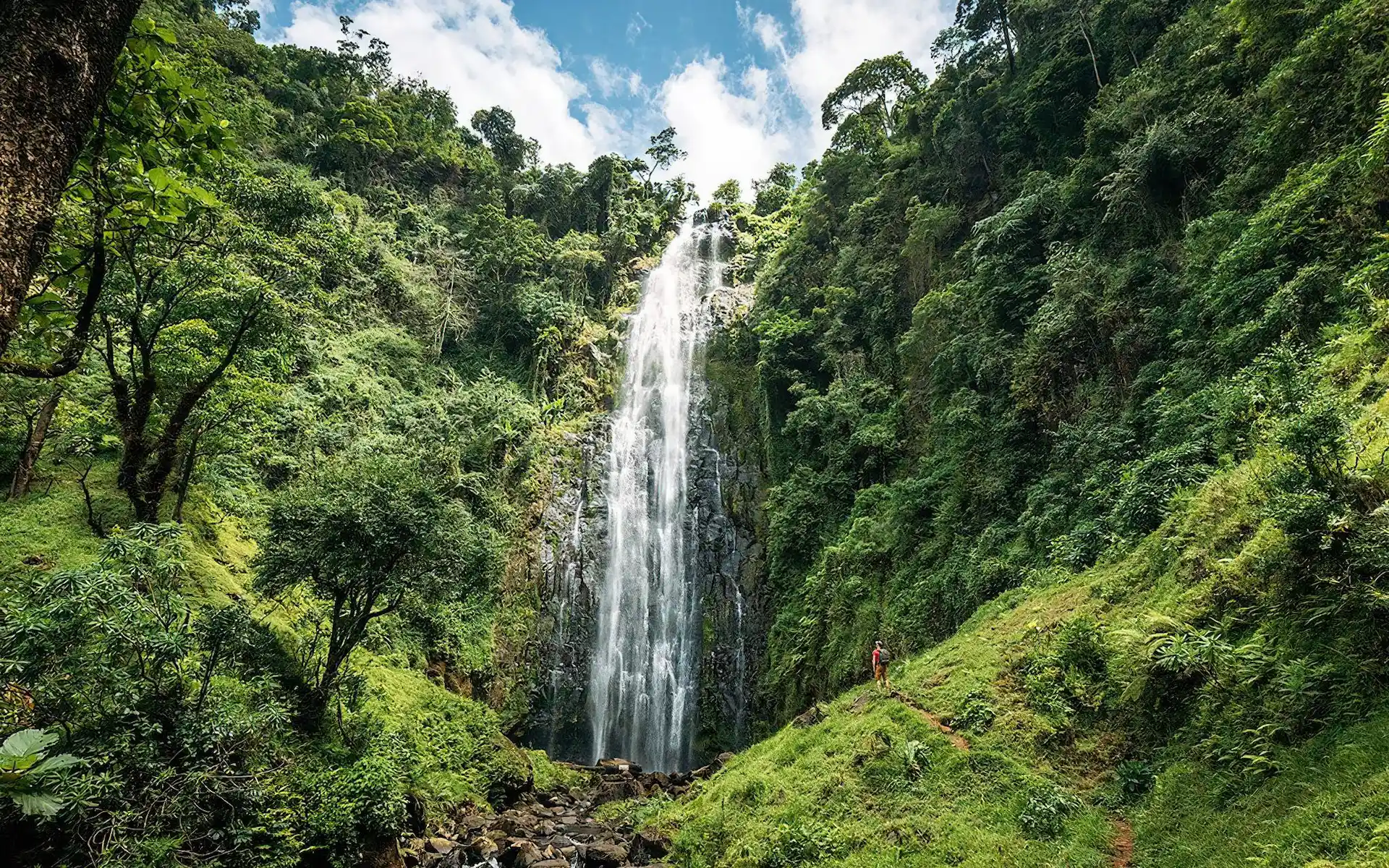 Materuni Village & Waterfalls