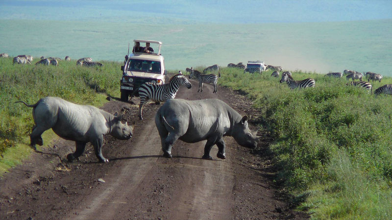 Ngorongoro Crater to Arusha 
