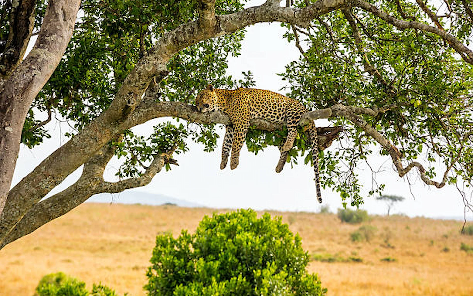 Serengeti National Park