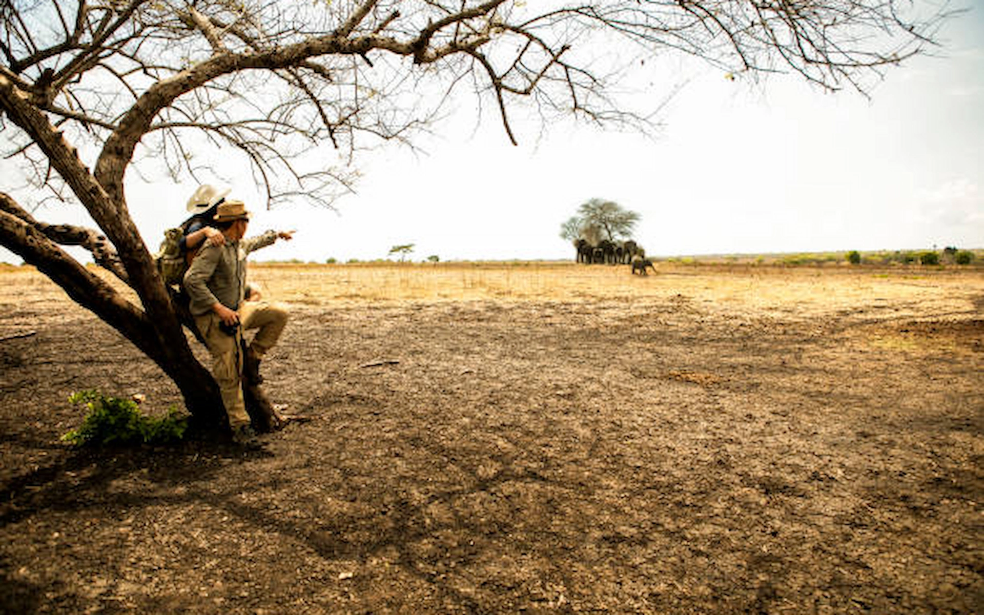 10-Days Honeymoon Wildlife Safari & Zanzibar Beach