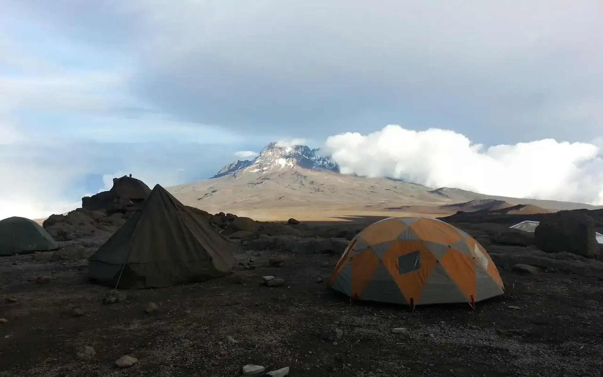 Mweka Camp (3100m) to Mweka Gate (1630m)