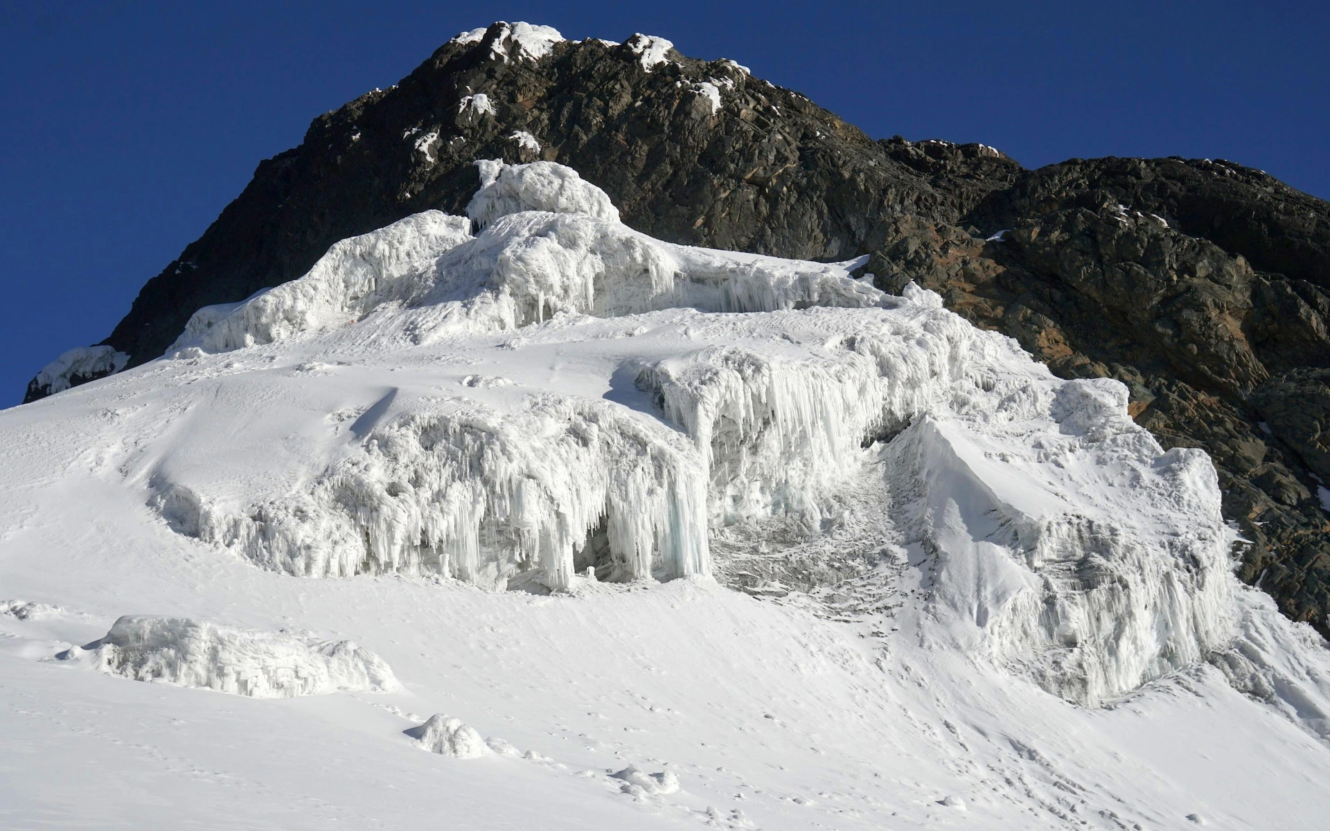 10- days trek to Margherita peak/Stanely