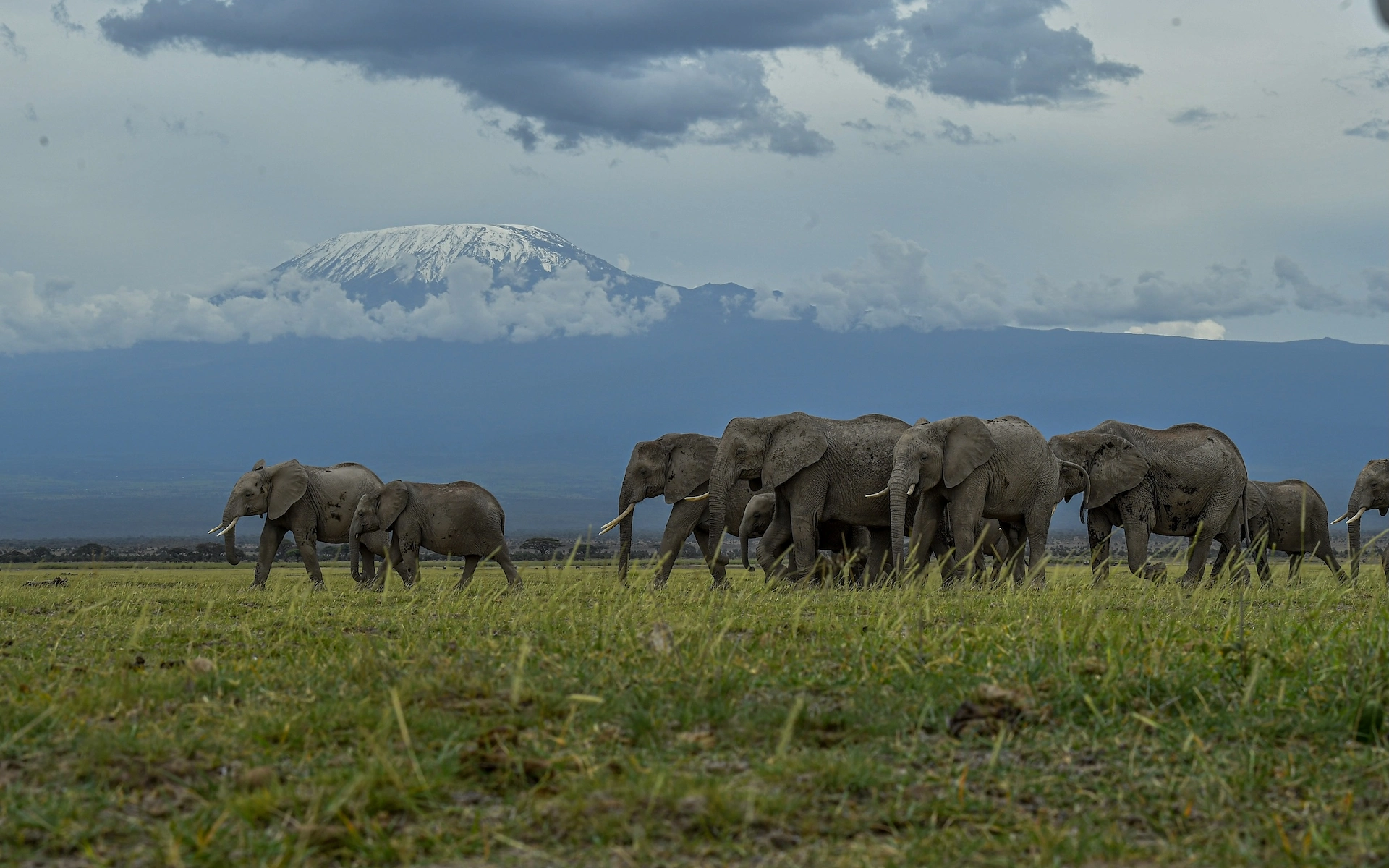 Amboseli National Park