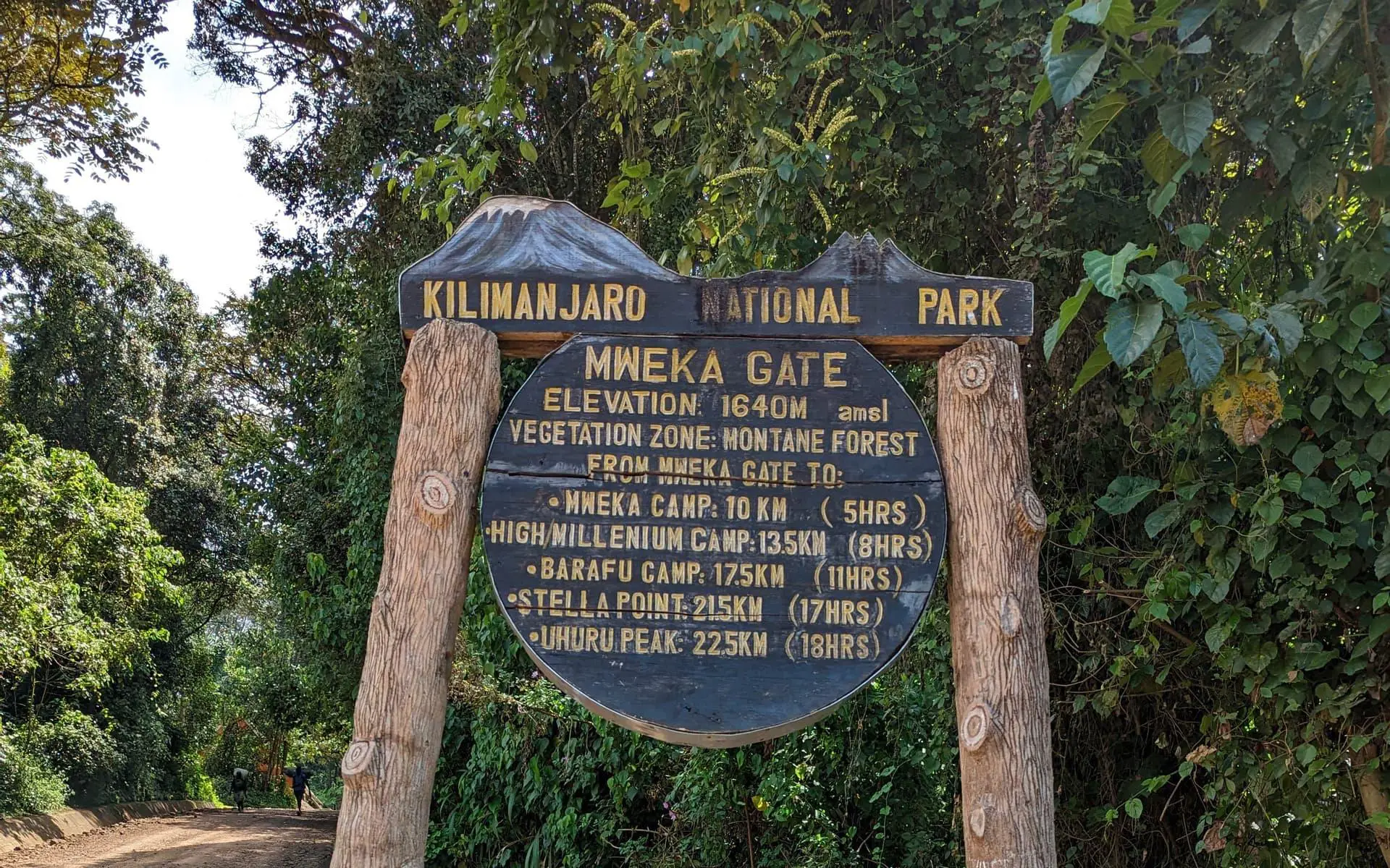 Mweka Camp (3,060 m) to Mweka Gate (1,640 m) to Moshi