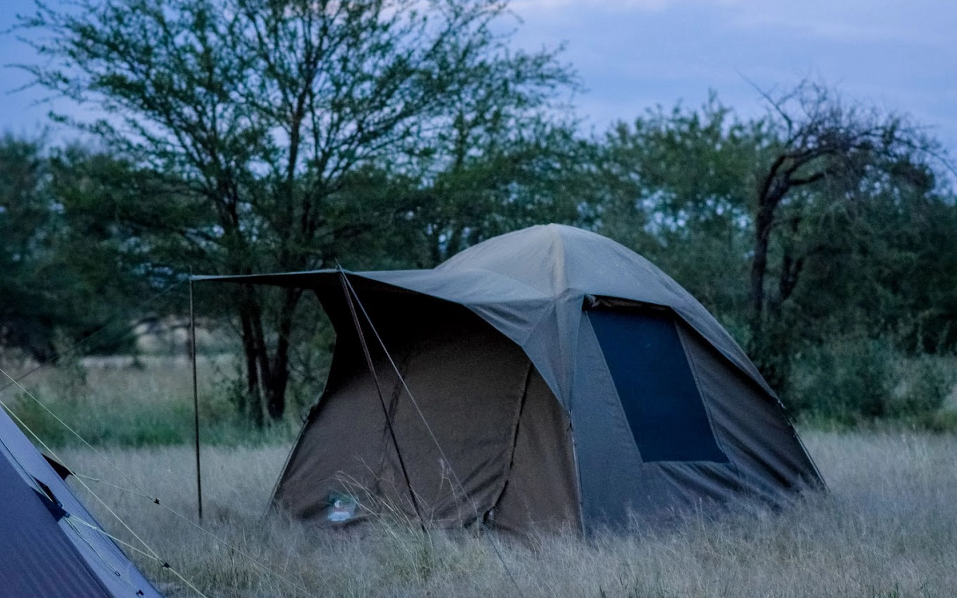 Pimbi Public Campsite