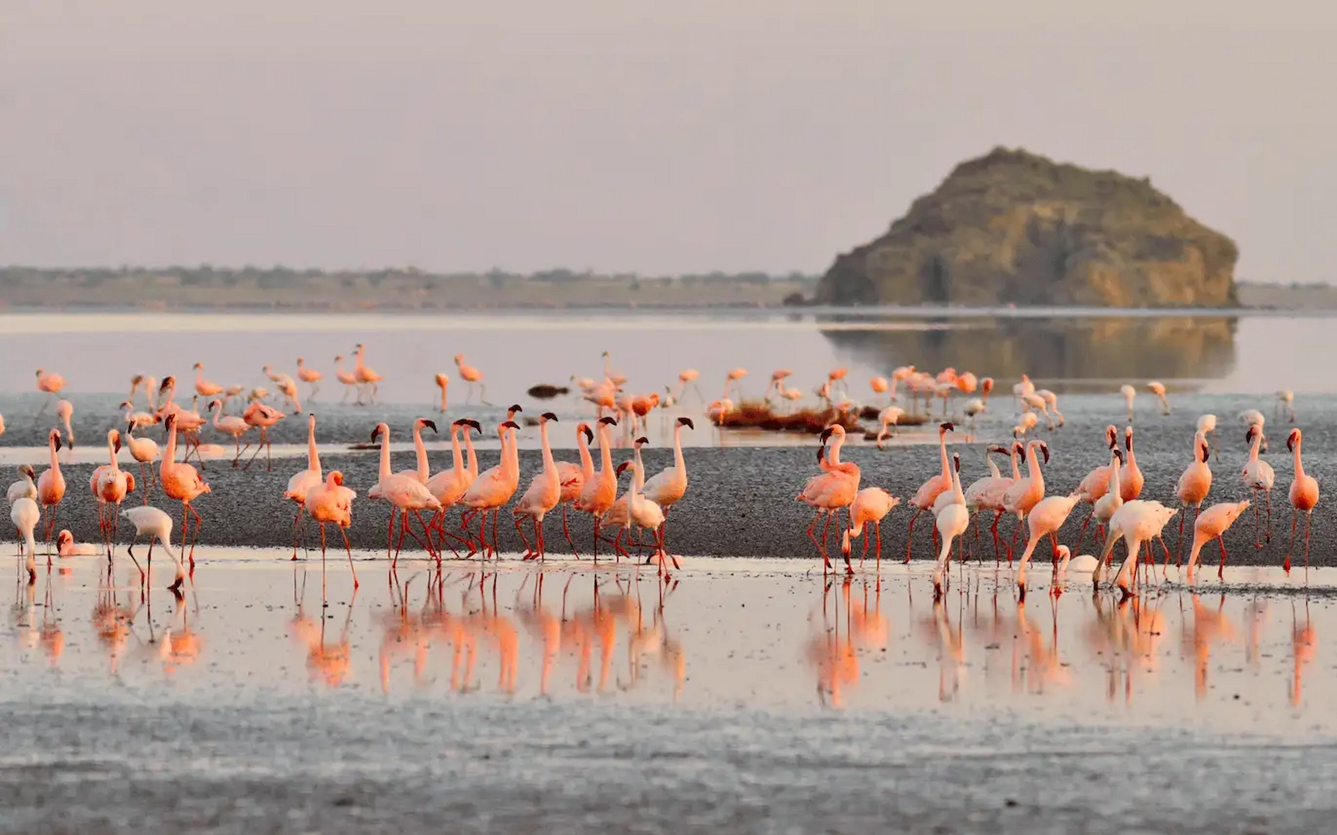Lake Eyasi