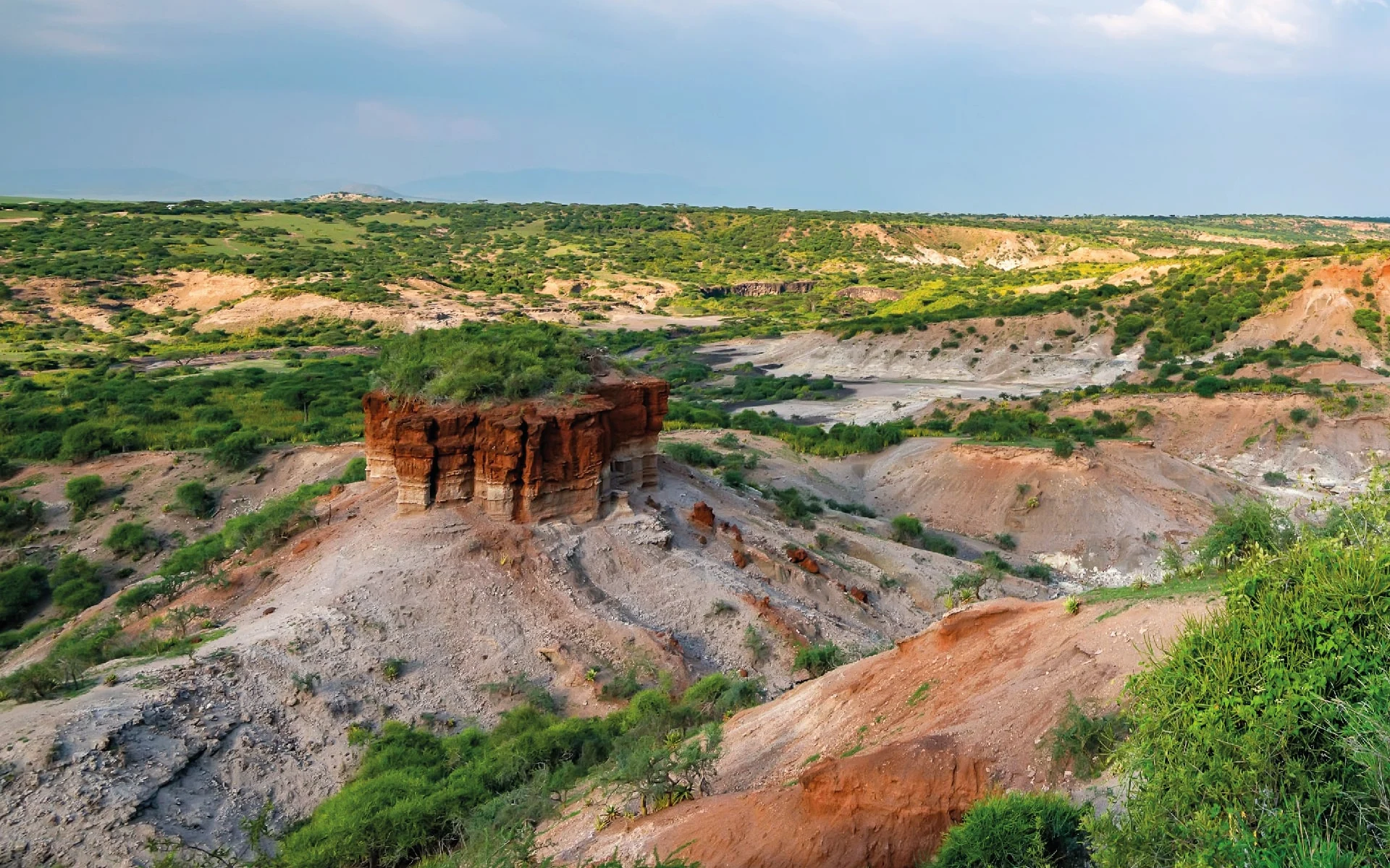 1-Day Trip to Ngorongoro Crater from Arusha