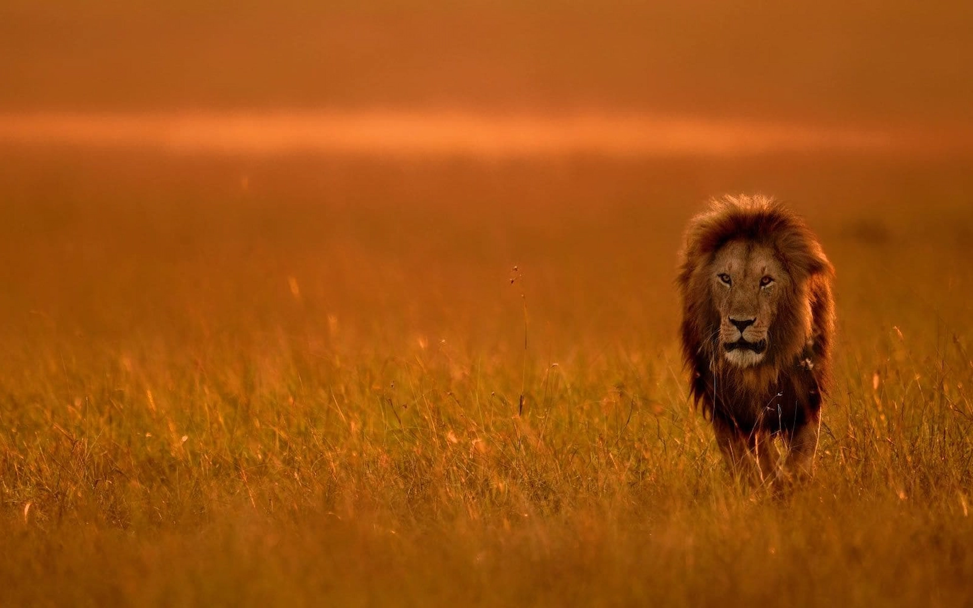 12-Day Explore Kenya-Tanzania with a Zanzibar Extension