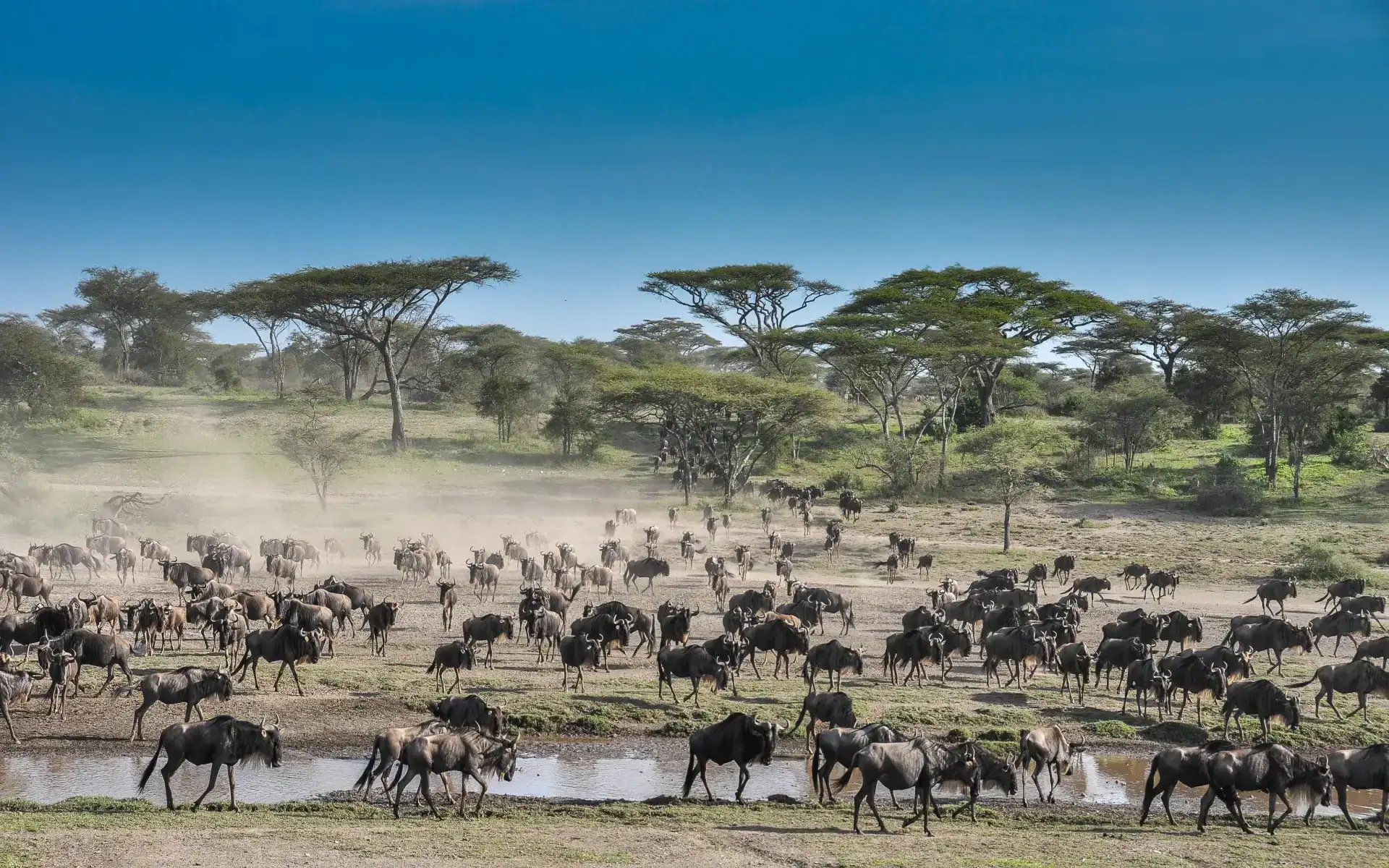 Serengeti National Park