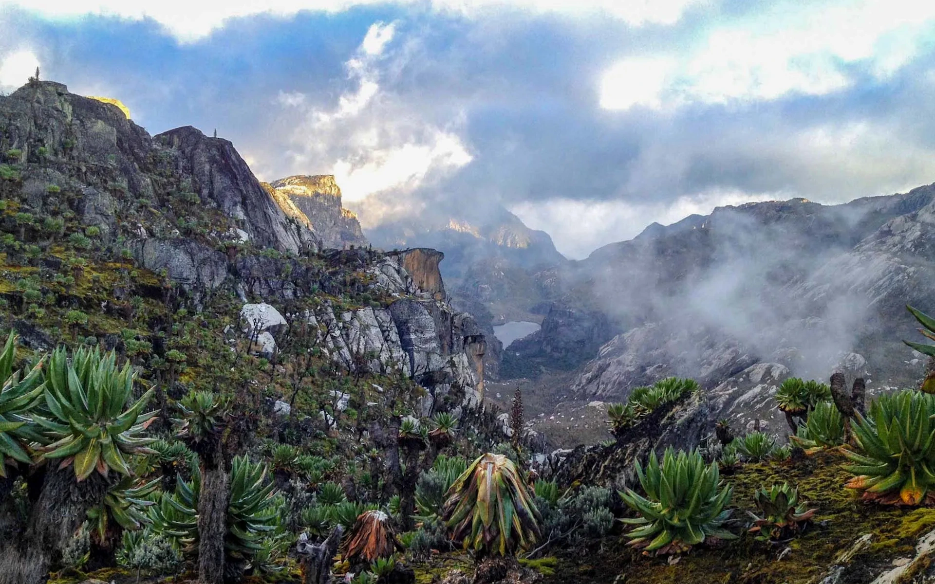 Entebbe – Fort Portal – Rwenzori Mountains