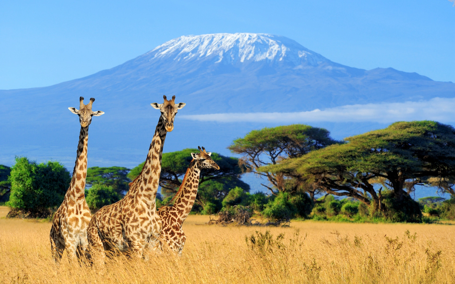 Kilimanjaro National Park