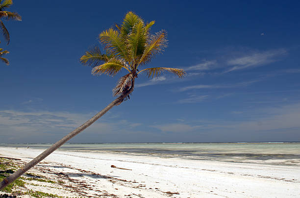 Zanzibar – Stone Town Tour