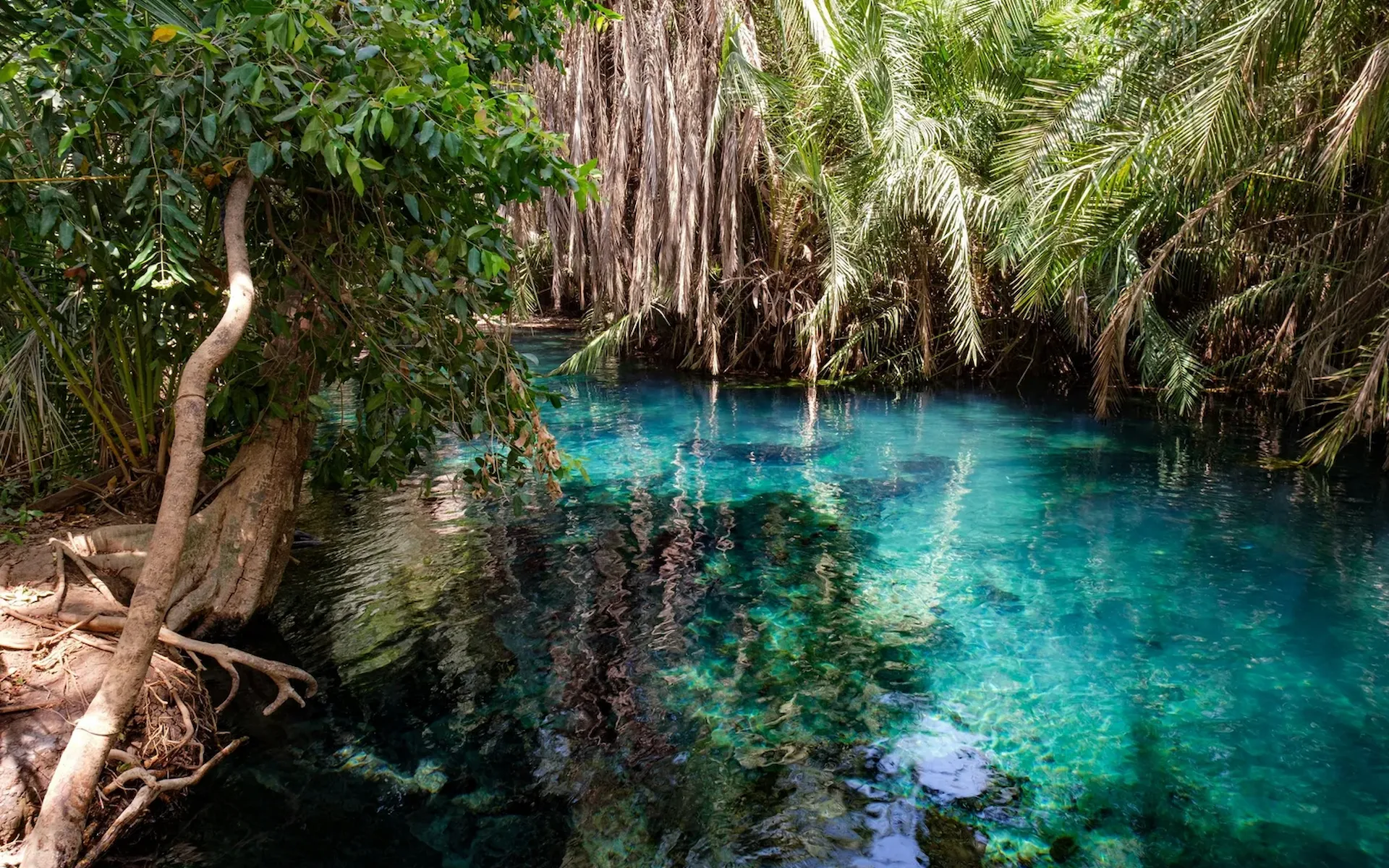 Chemka Hot Springs