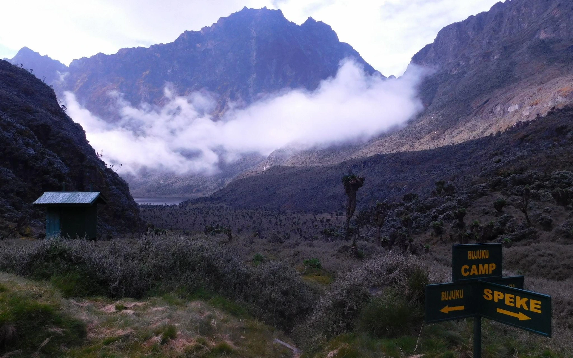 Bujuku Camp