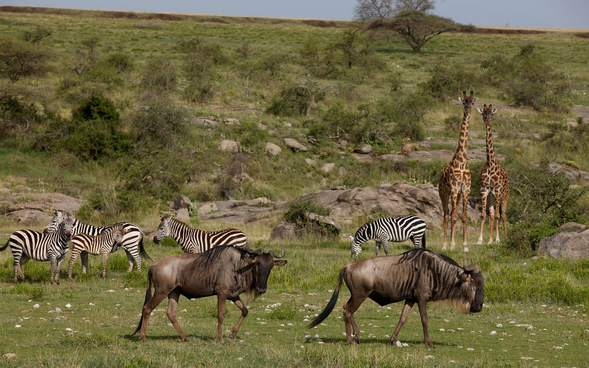Serengeti National Park