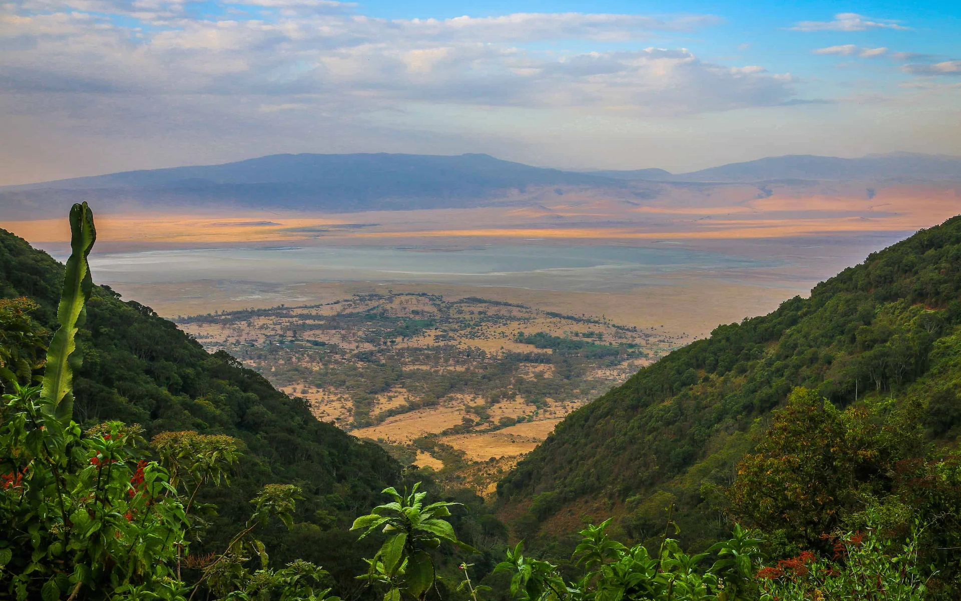 Sunrise Game Drive in Serengeti & Transfer to Ngorongoro