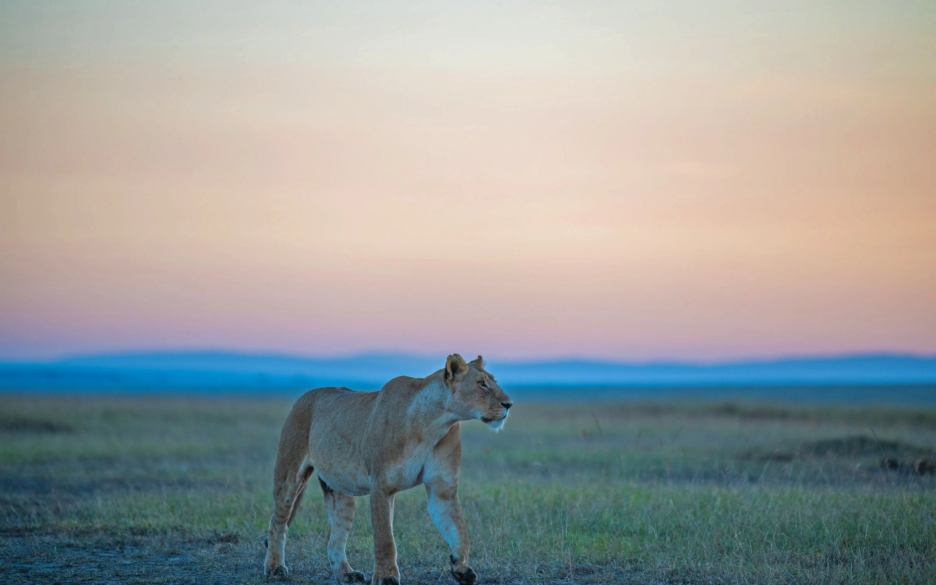 Maasai Mara National Reserve 