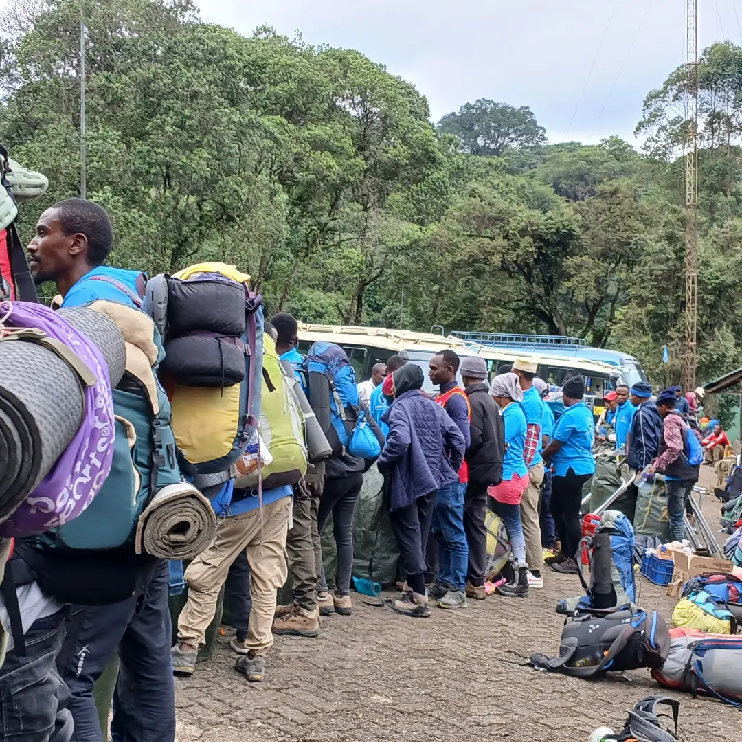 Arrival in  kilimanjaro