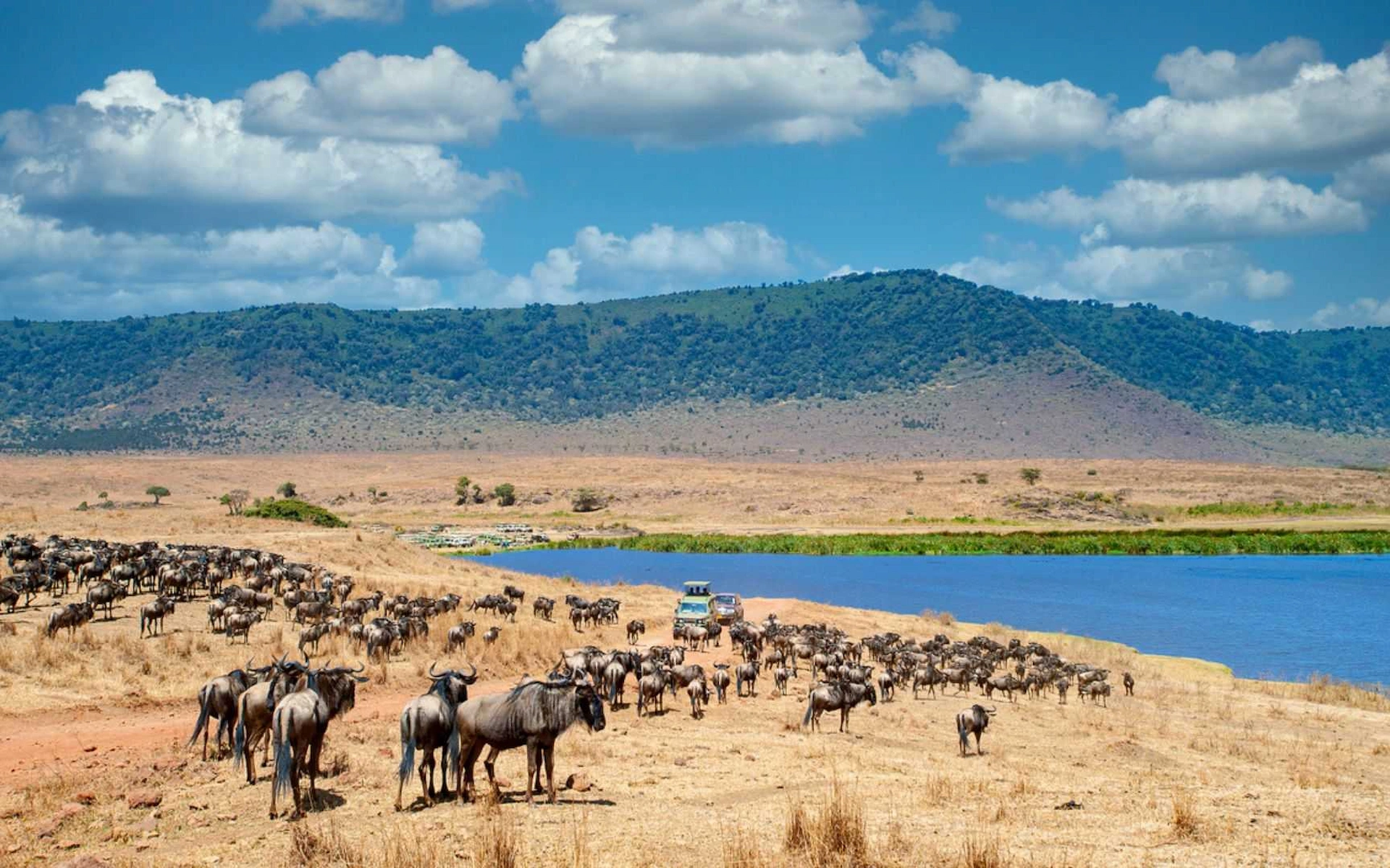 Serengeti National Park to Ngorongoro Crater