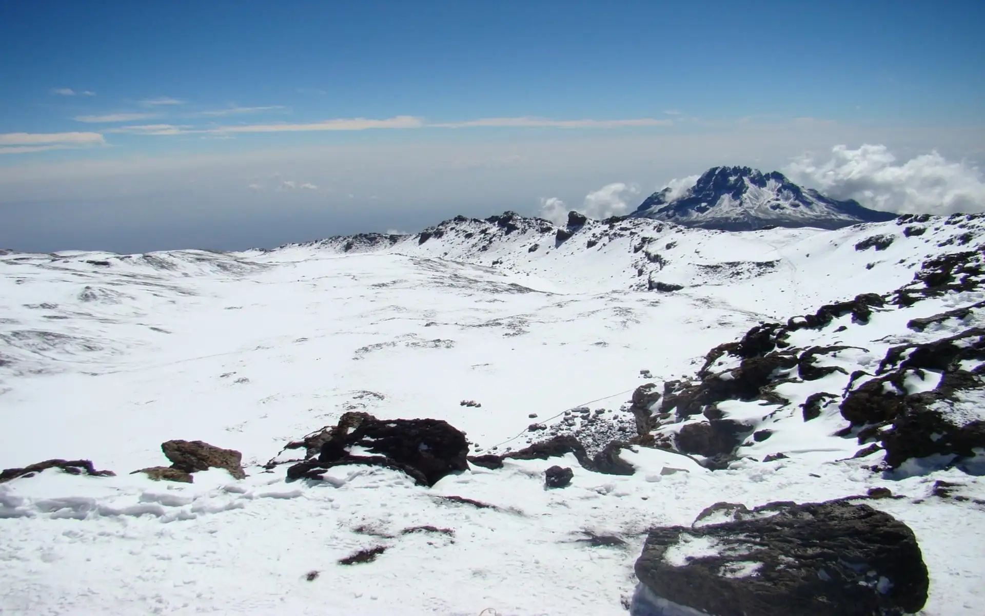 Londorossi Gate (2,350m) to Mti Mkubwa (2,750m)