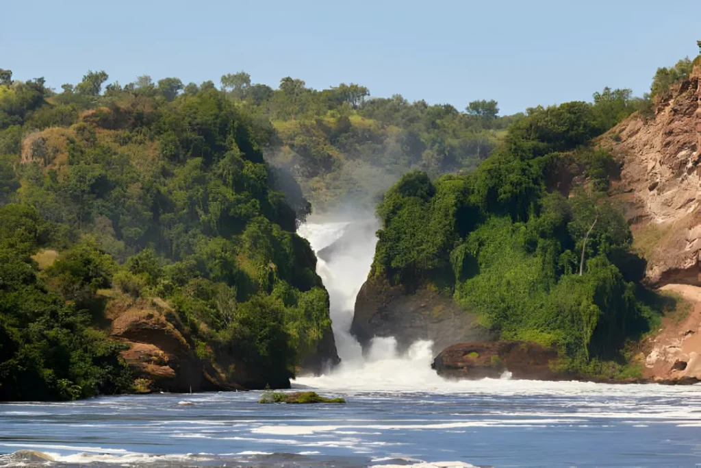 Uganda Tour Safari