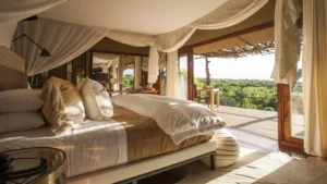 Luxury Tanzania Safari Tours