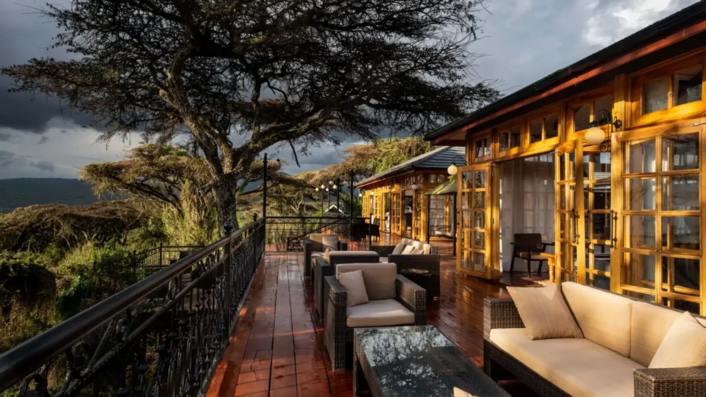 Luxury safari in Tanzania