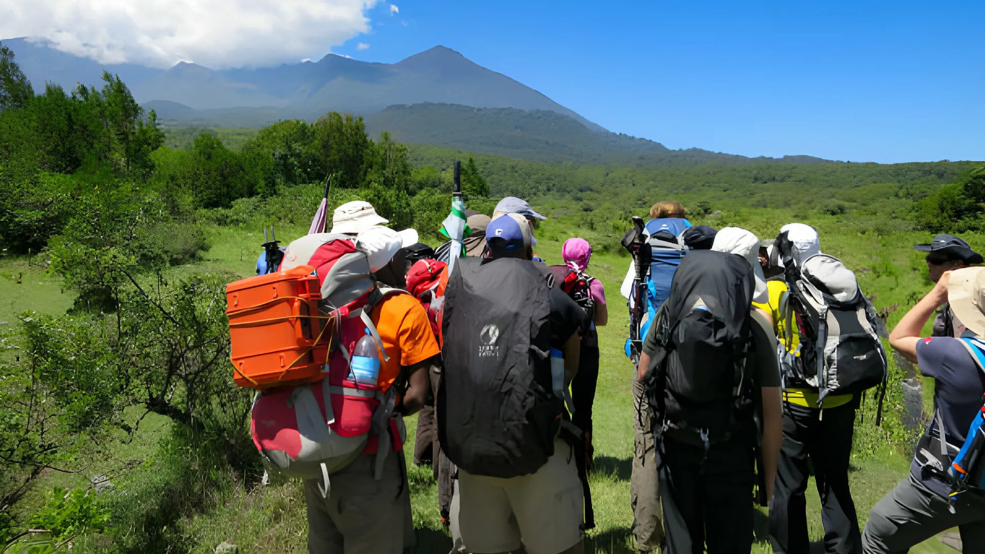 Kilimanjaro