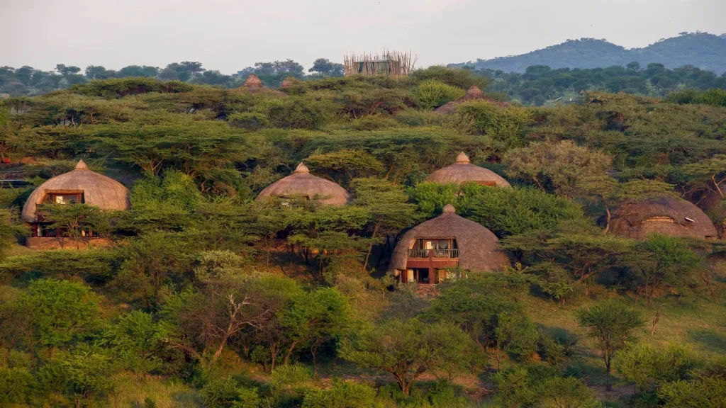 luxury safari hotel