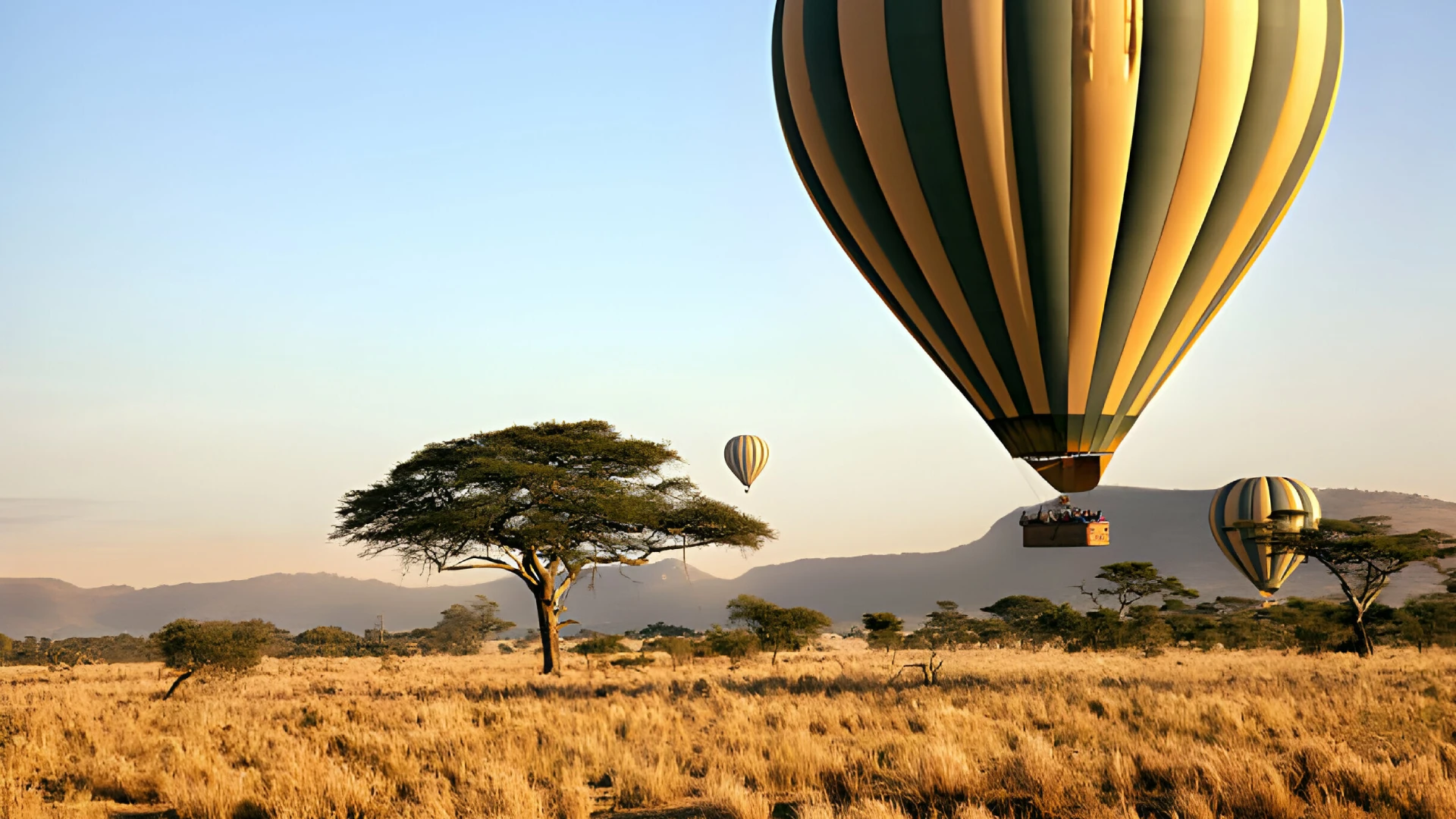 luxury African safaris