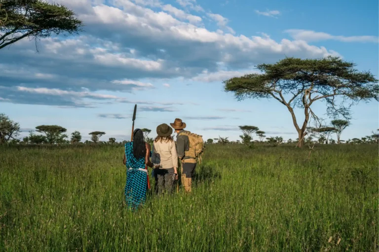 Tanzania safari