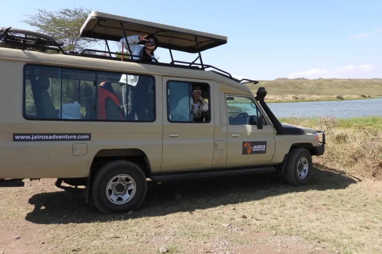 Tanzania Safari Packages