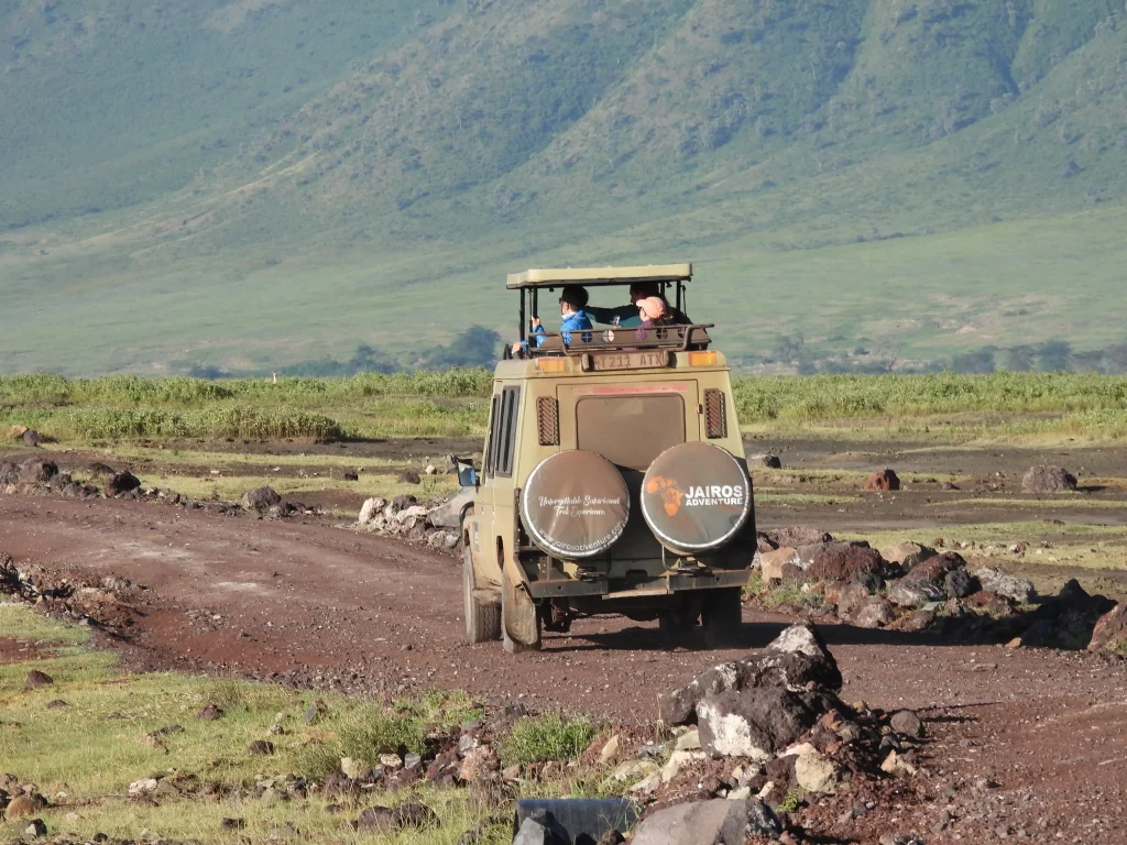 Serengeti safari