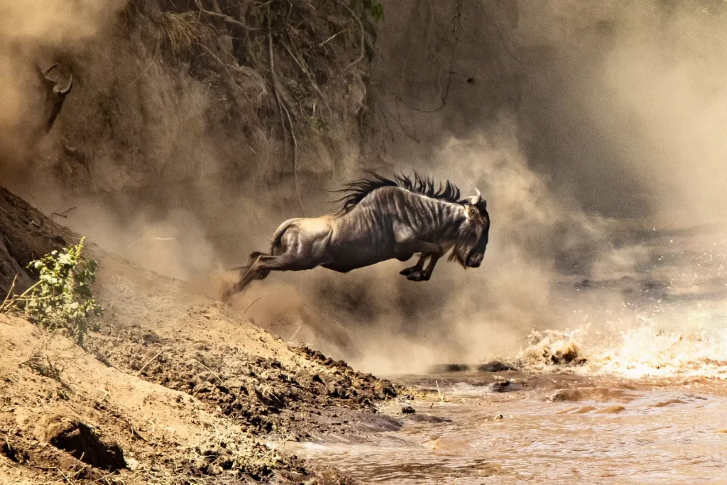 7-Day Great Migration Mid-Range Safari