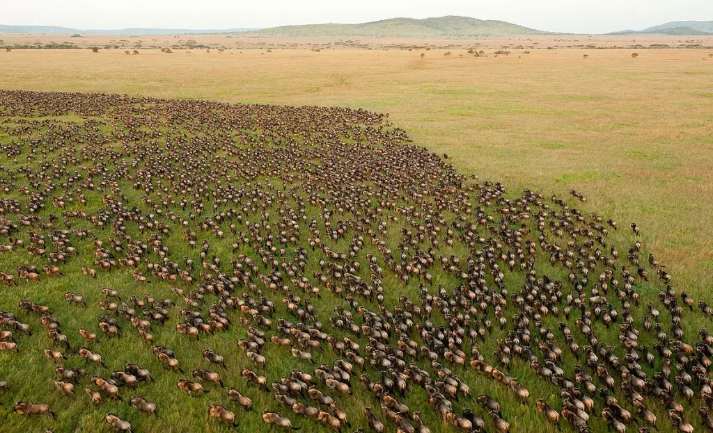 Tanzania wins at World Travel Awards" (July 11, 2025)