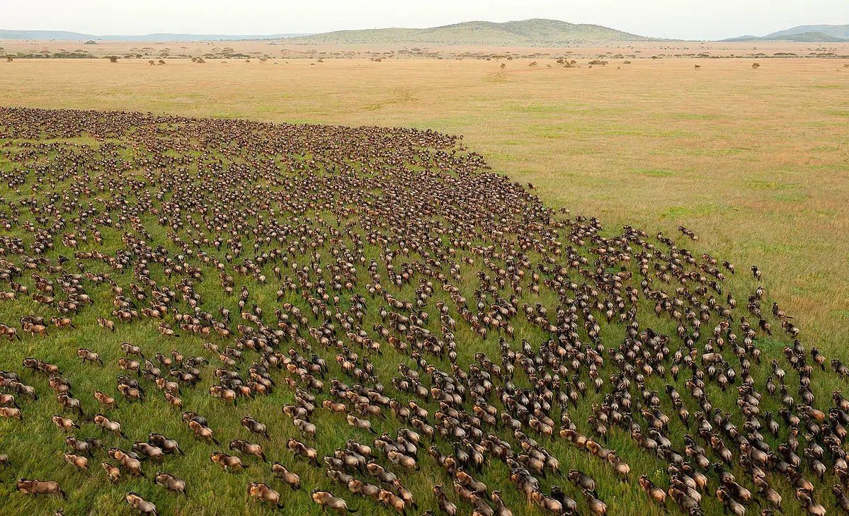Tanzania wins at World Travel Awards" (July 11, 2025)