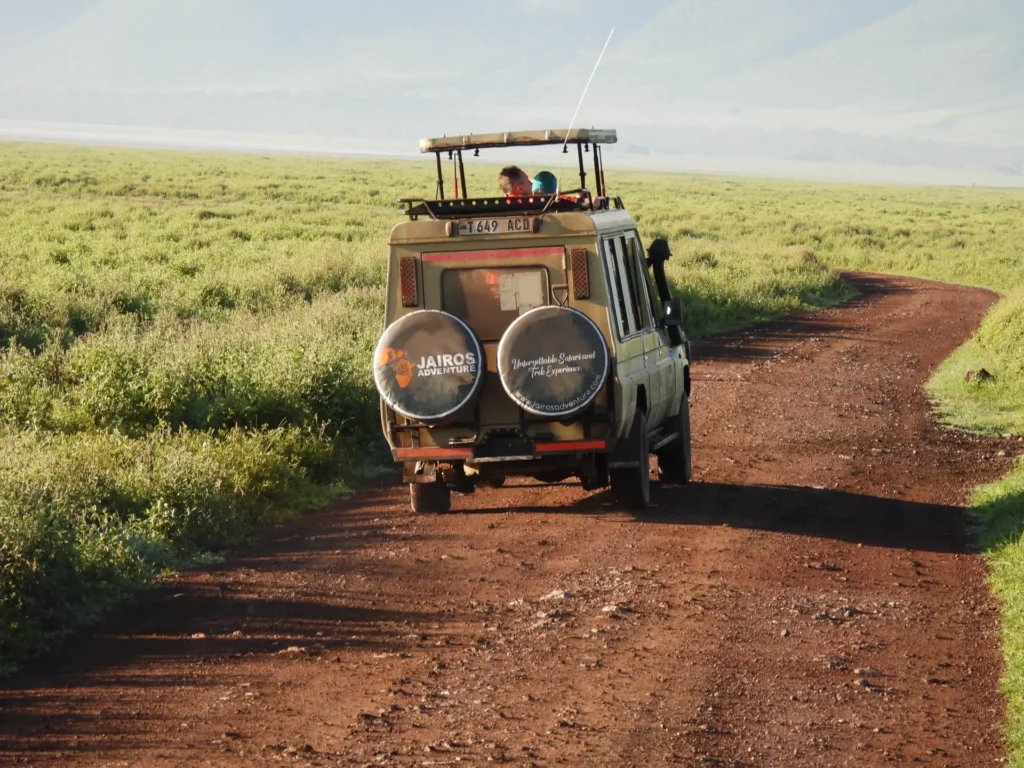 two travelers watching elephants from a private 4x4 vehicle in Tarangire National Park