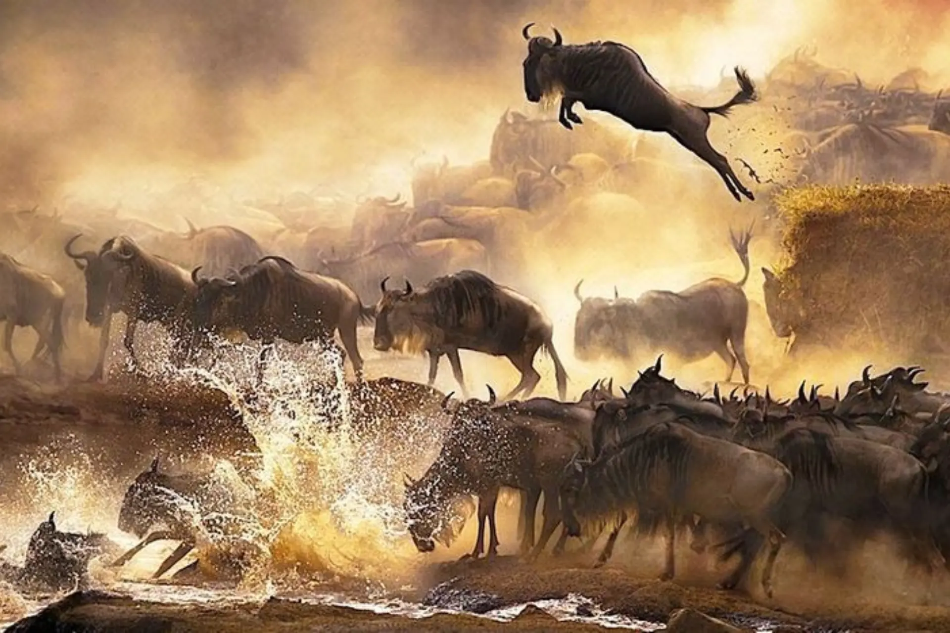 Tanzania Crowned Africa’s Leading Destination 2025