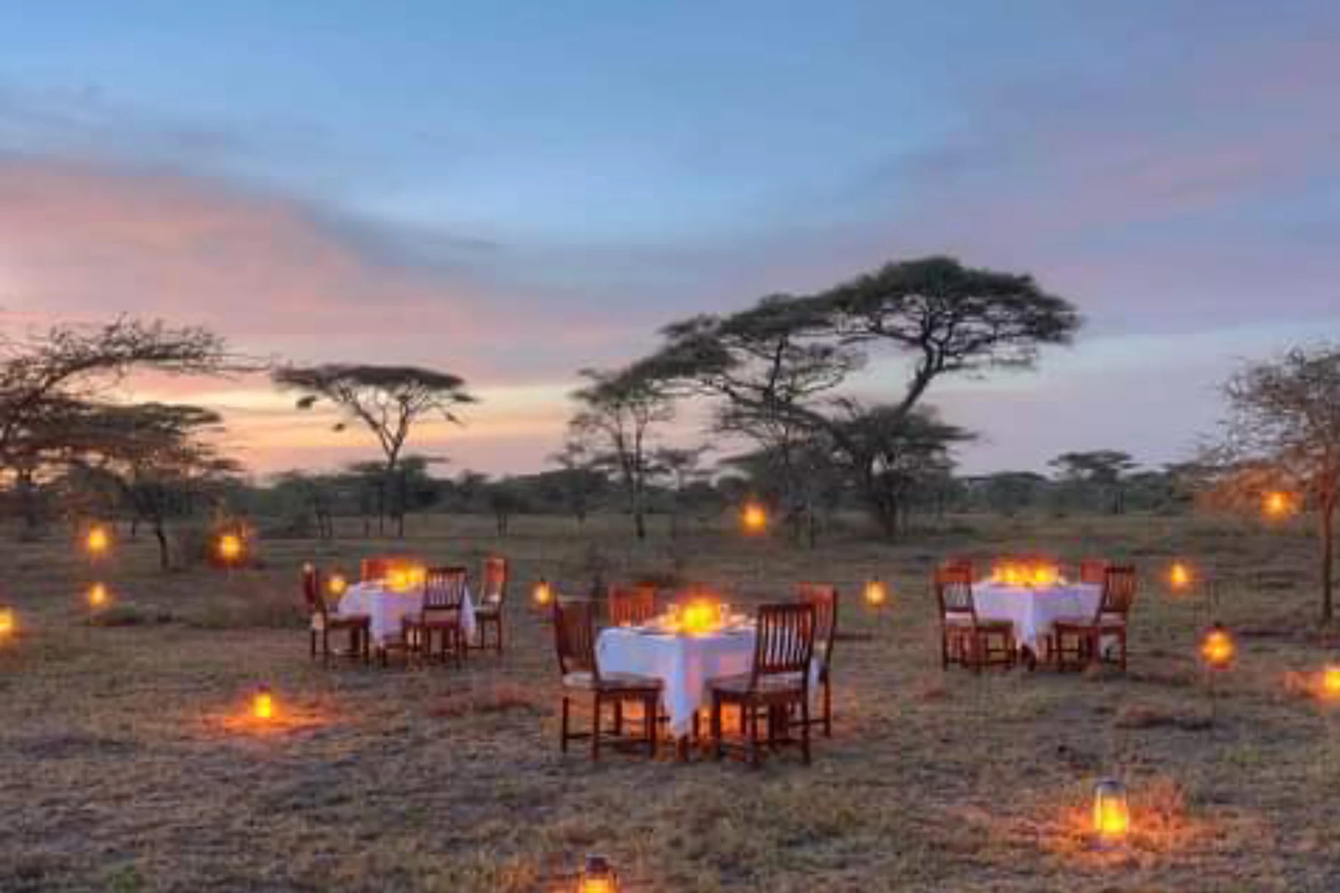 12 Day Honeymoon Safari and Zanzibar