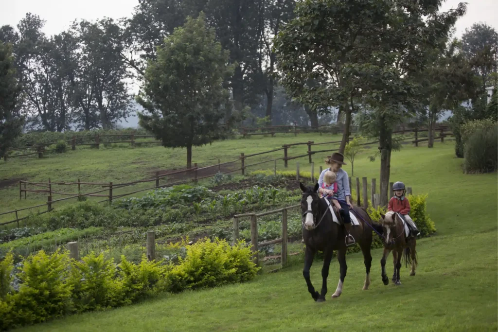 10 Day Luxury Ultimate Safari and Zanzibar