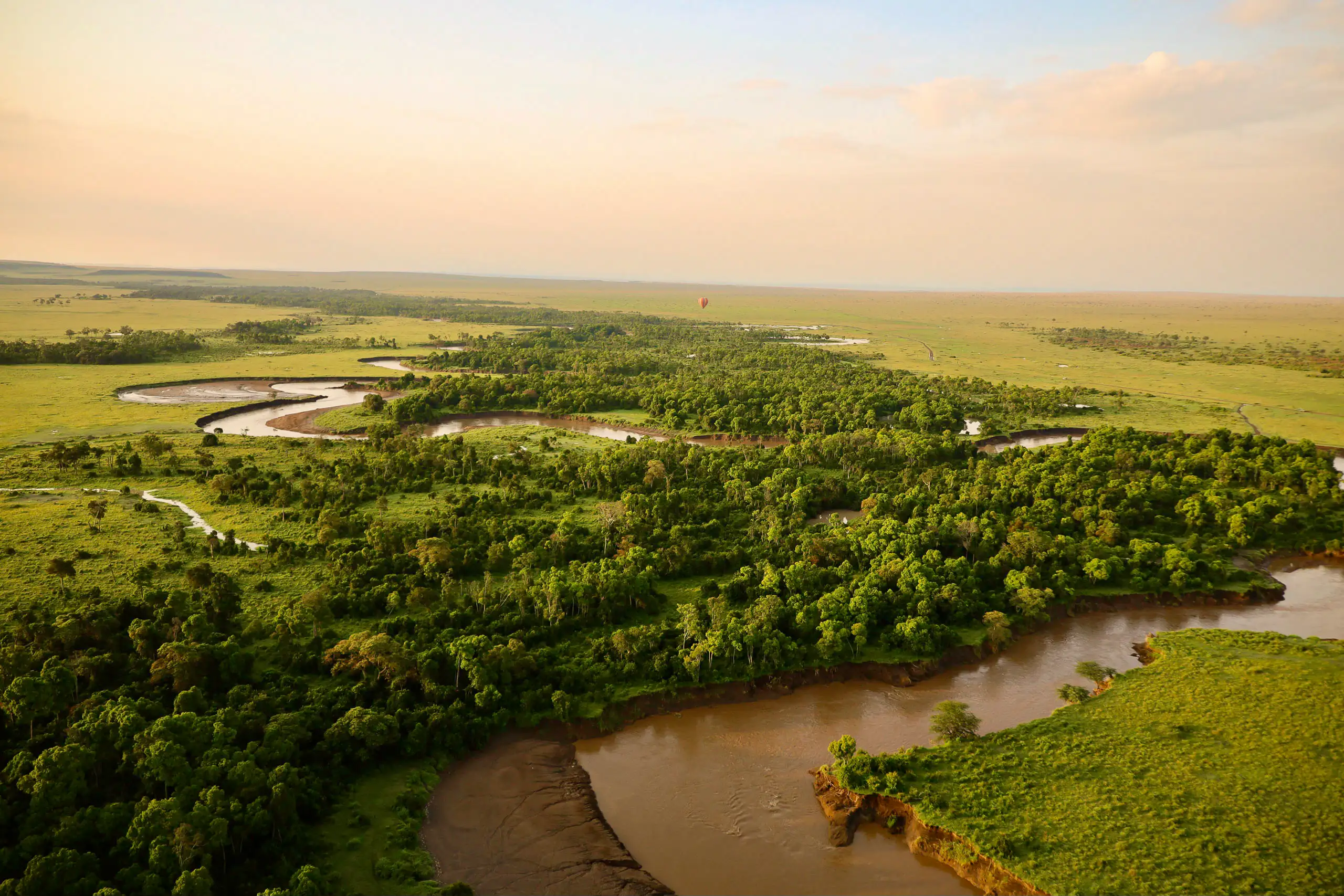 Safari Tanzania