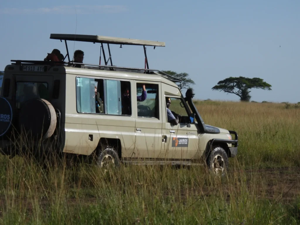 African Safari 10 12 Day Tanzania Luxury Safari and Zanzibar Vacation